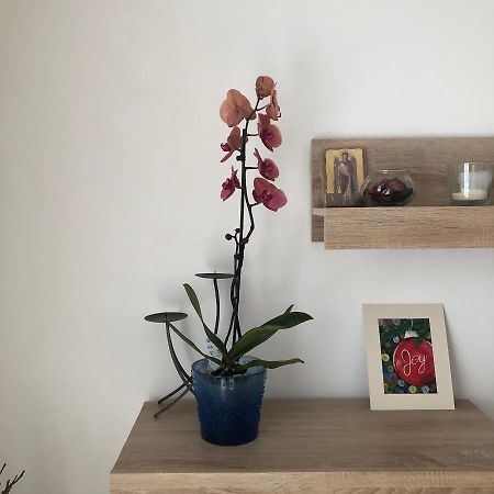 Grig Apartament Appartement Boekarest Buitenkant foto